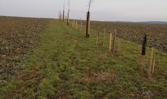 Environmentální smýšlení obce Soběsuky